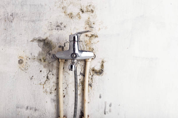 Water Damage Restoration in Boutte, LA