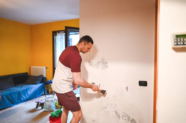 Best Professional Mold Removal  in Boutte, LA